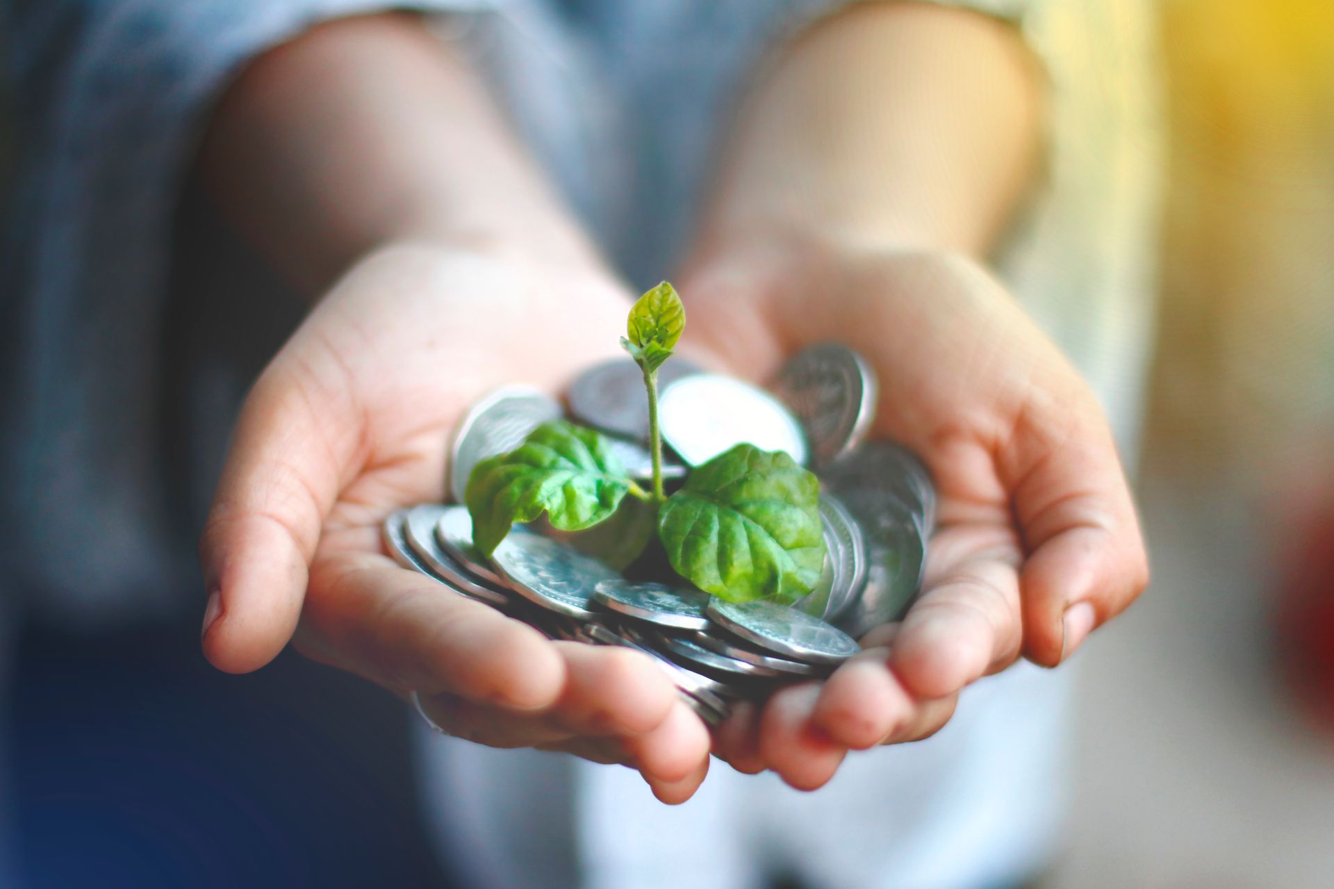 Passive Income Ideas in India for Financial Independence