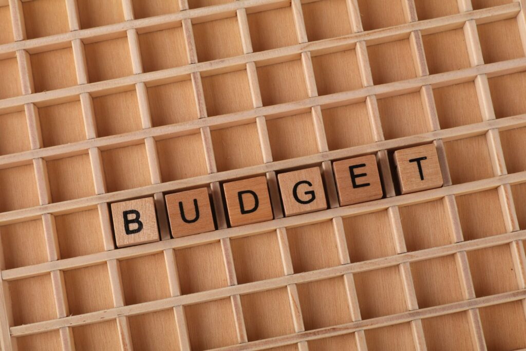 The 50/30/20 Budget Rule: Does It Work for FIRE in India?